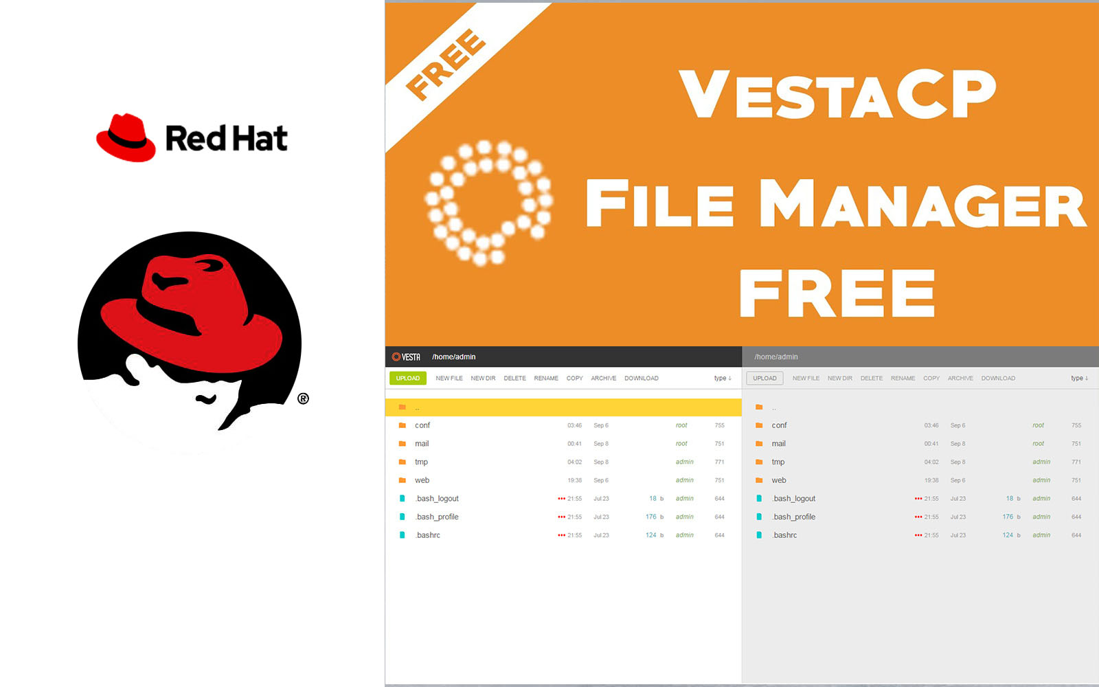 การใช้ Vesta CP file Manager ฟรี