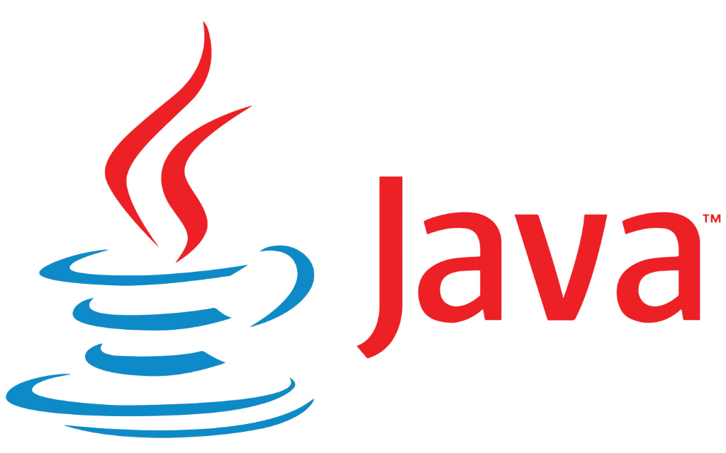 Java Runtime Environment Version 8